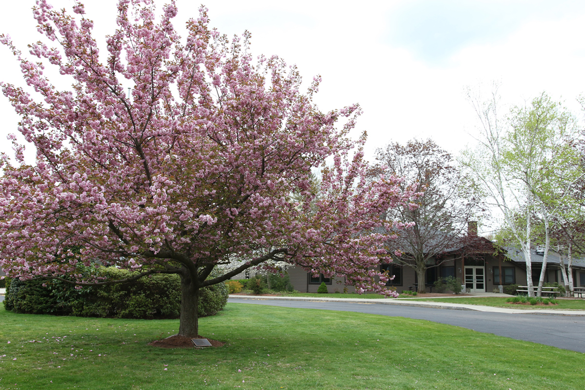 Student illustration of a car