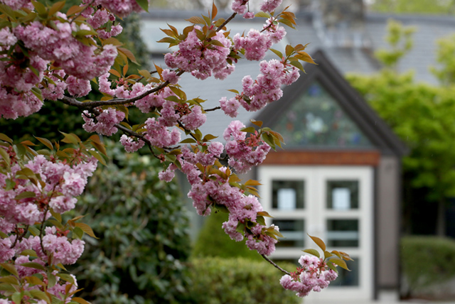 BDS Campus 5 05.11.20Scoop