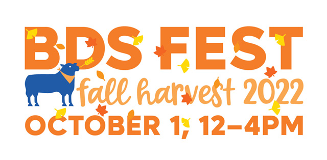 Student illustration of a car