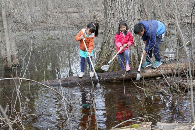 Magic the Gathering logo